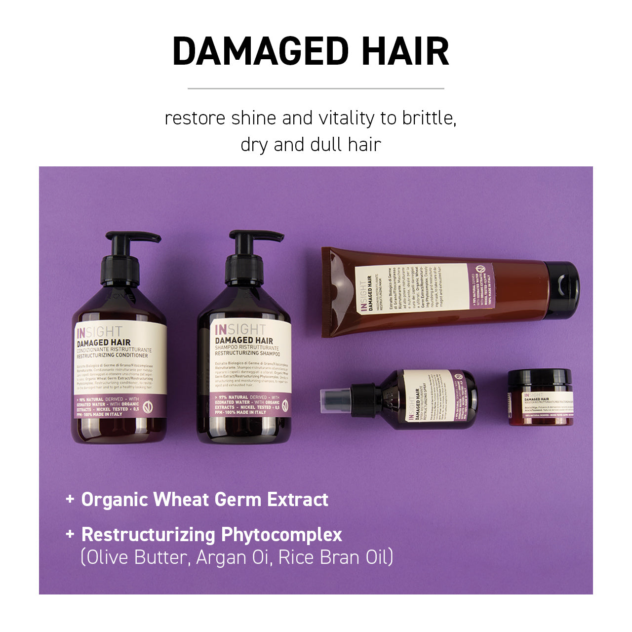 DAMAGED HAIR Restructurizing Shampoo